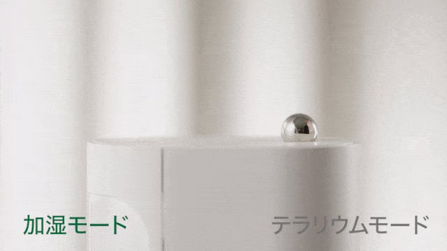 究極のサステナブル！コケの力で森林浴気分が味わえる！テラリウム風