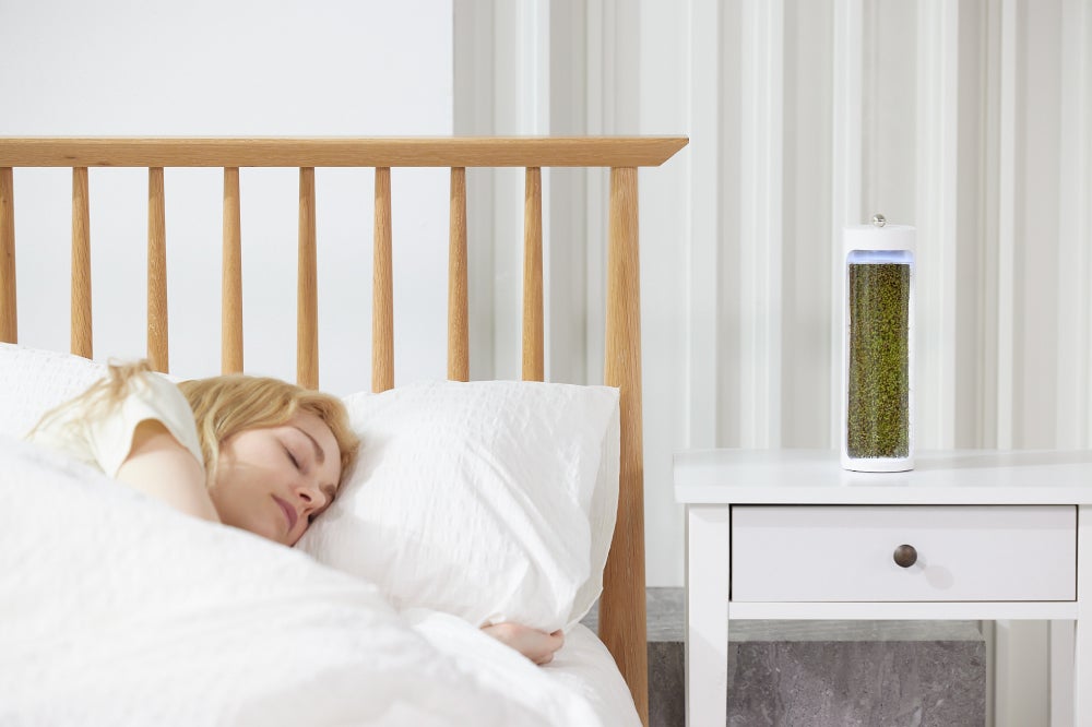 究極のサステナブル！コケの力で森林浴気分が味わえる