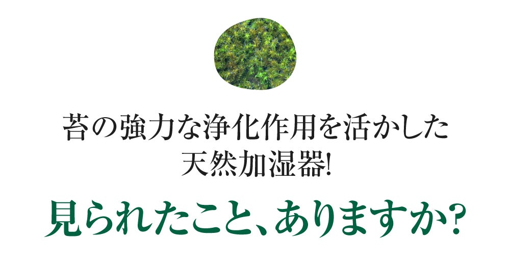 究極のサステナブル！コケの力で森林浴気分が味わえる