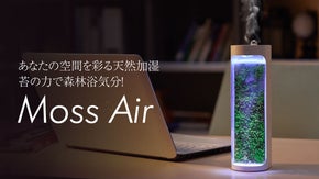 究極のサステナブル！コケの力で森林浴気分が味わえる！テラリウム風・天然加湿器