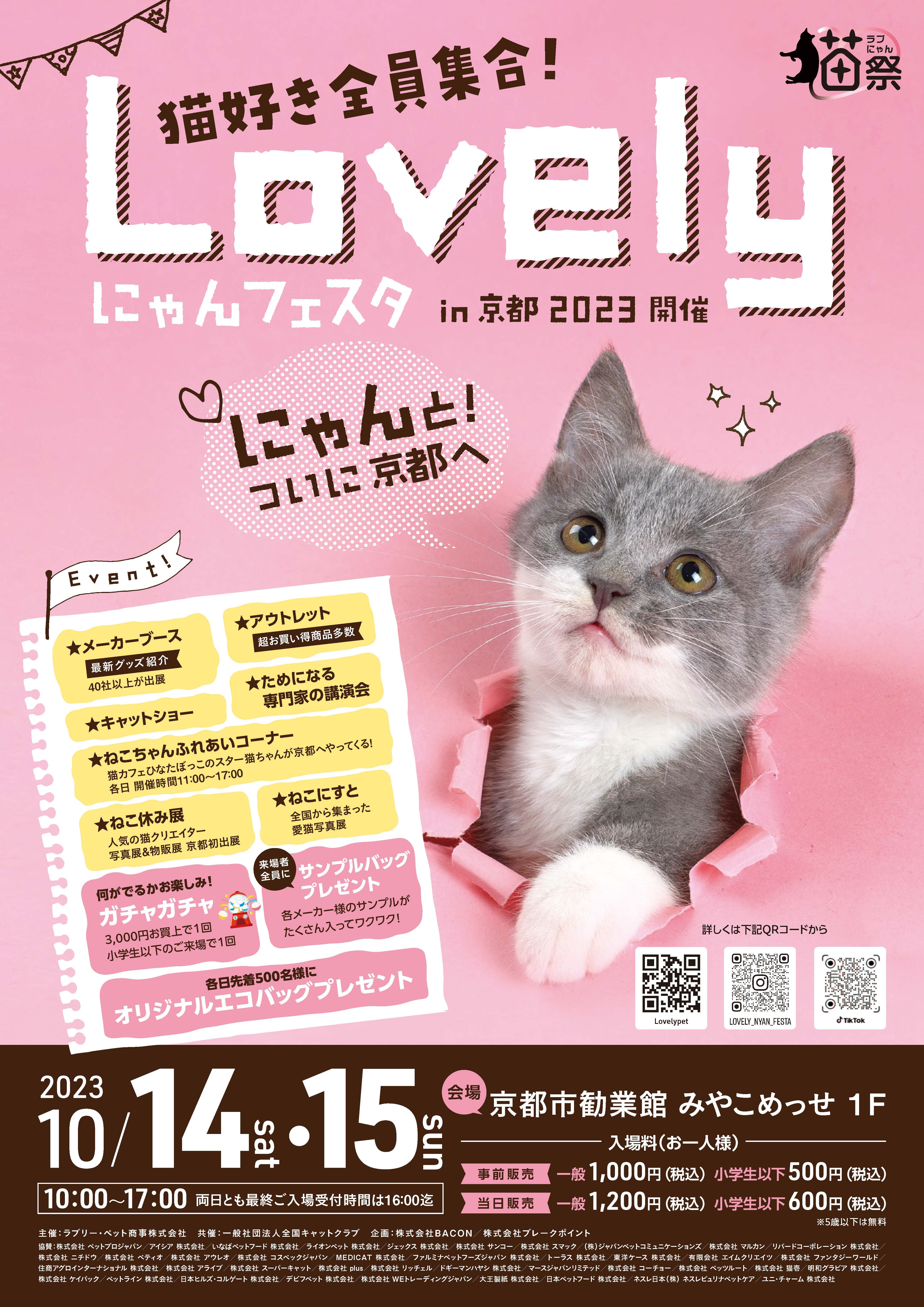 クリスマスも誕生日も愛猫と素敵な思い出を！老舗箱屋が作る付替式