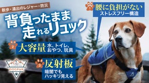 愛犬に絆と安全をプラス！運動性能に特化したワンちゃん専用『ハーネス付きリュック』