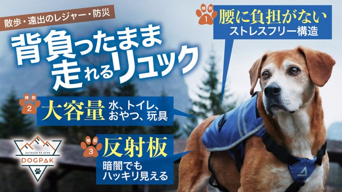 愛犬に絆と安全をプラス！運動性能に特化したワンちゃん専用『ハーネス付きリュック』