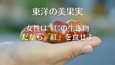 一年に一度だけ出会える信州長野県産『生なつめ』摘みたての＜女性の果実＞