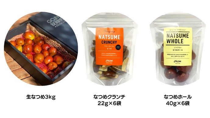 なつめページ HAKUSUI's select 薬膳百科シリーズ なつめ ナツメ 棗 500g 【新疆