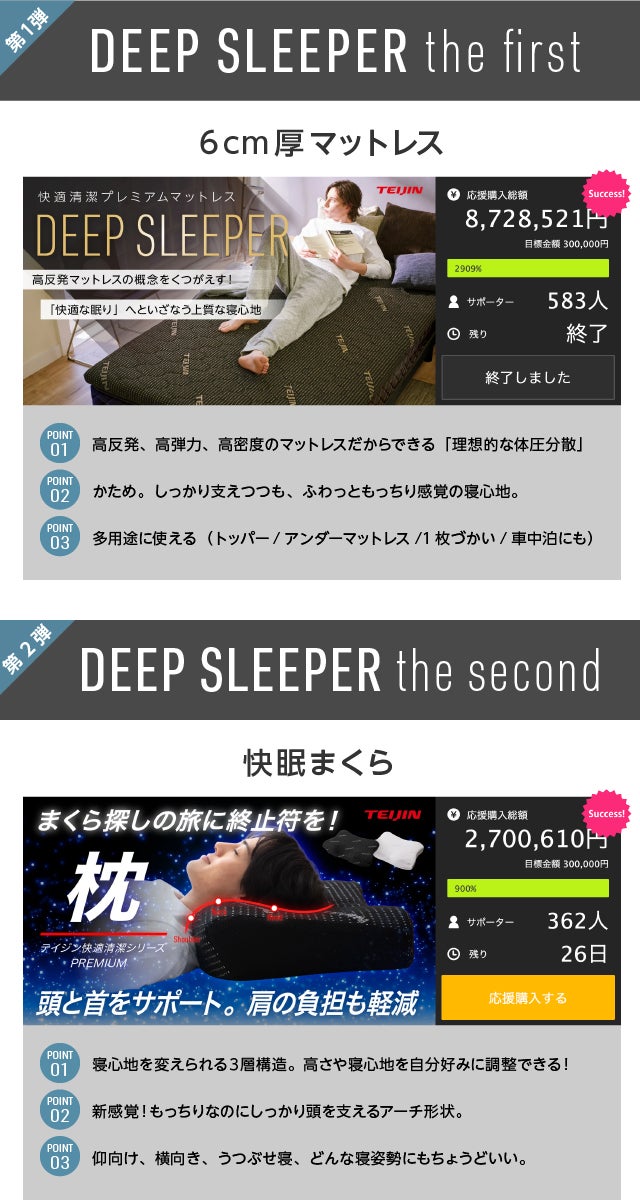 快適な眠りへいざなう上質な寝心地へ】テイジン 快適清潔プレミアム