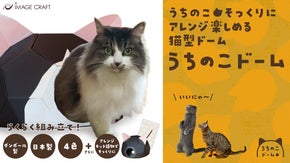 らくらく組み立て【うちのこそっくりにアレンジ楽しめる、猫型ドーム】うちのこドーム