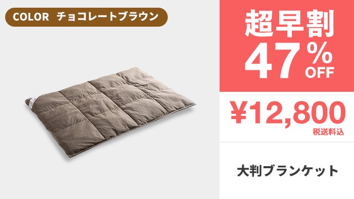 【敷きパッド】　エアロゲル　コスモダウン シングル 2年連続1億円。真冬でも1枚でOK。薄くて、軽くて、暖かい
