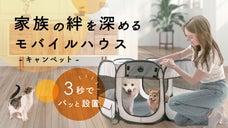 折りたたんで、軽々と持ち運べるから、ワンちゃんを連れた外出や、旅行先でも大活躍！