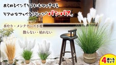 まるで本物！上質なフェイクグリーン「パンパス」でクオリティの高い演出が可能