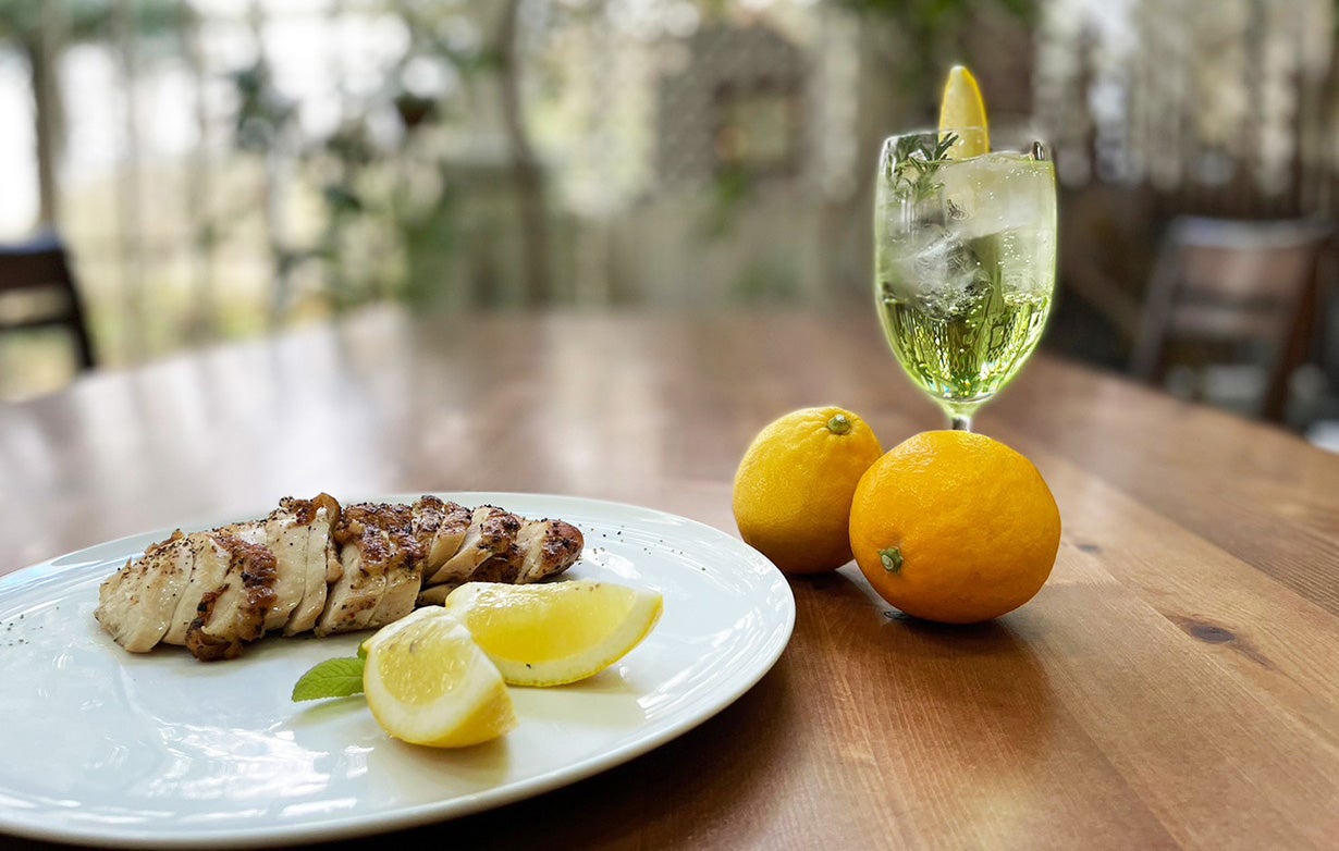 実付き！お部屋で育てる「レモンの木」苗木のプロが作るレモンの木 by