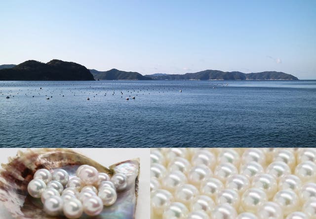 高騰が続くあこやと湖水パールと高騰前の価格にて、憧れのアレキをお 