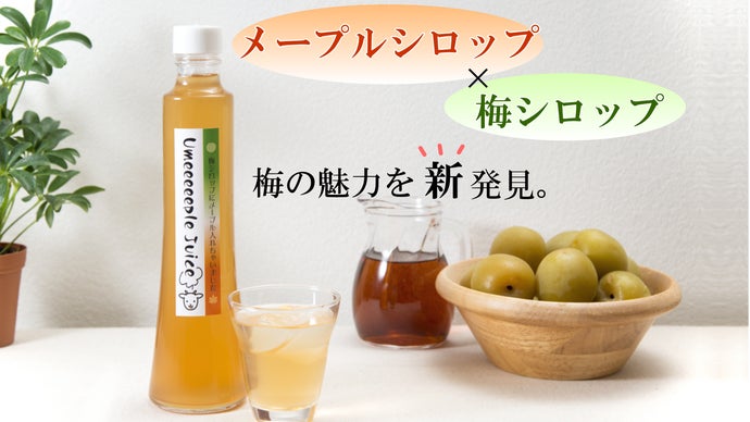 スッとからだに染み渡る上品な甘み。紀州の梅シロップ×メープルの梅