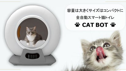 G-セルフ整備中by仕事猫