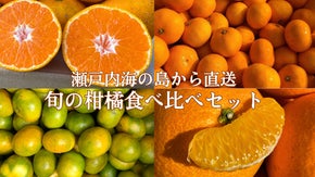 ＜定期便あり＞大崎上島ならではの旬の柑橘類をお届け！季節に合わせた柑橘類のセット