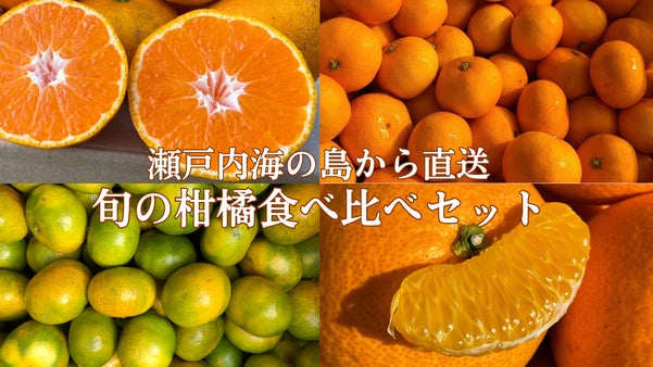＜定期便あり＞大崎上島ならではの旬の柑橘類をお届け！季節に合わせた柑橘類のセット