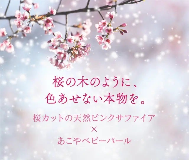 Makuake｜桜の花びらカットの「ピンクサファイヤ」×「あこやパール 