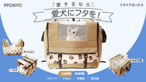 愛犬に一生の贈り物！飼い主も愛犬も幸せな360度ブロックフタ付きドライブボックス