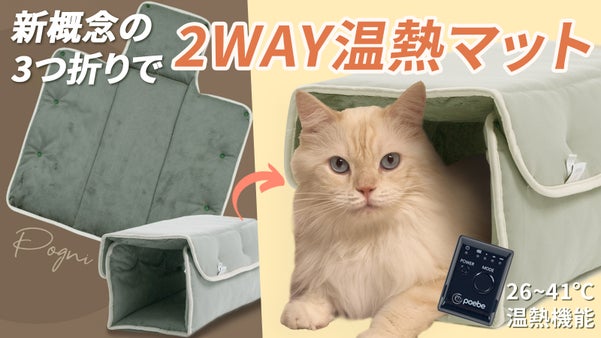 犬用カート、キャリーバッグ、チャイルドシートまで  どこにでも入れてあげればOK