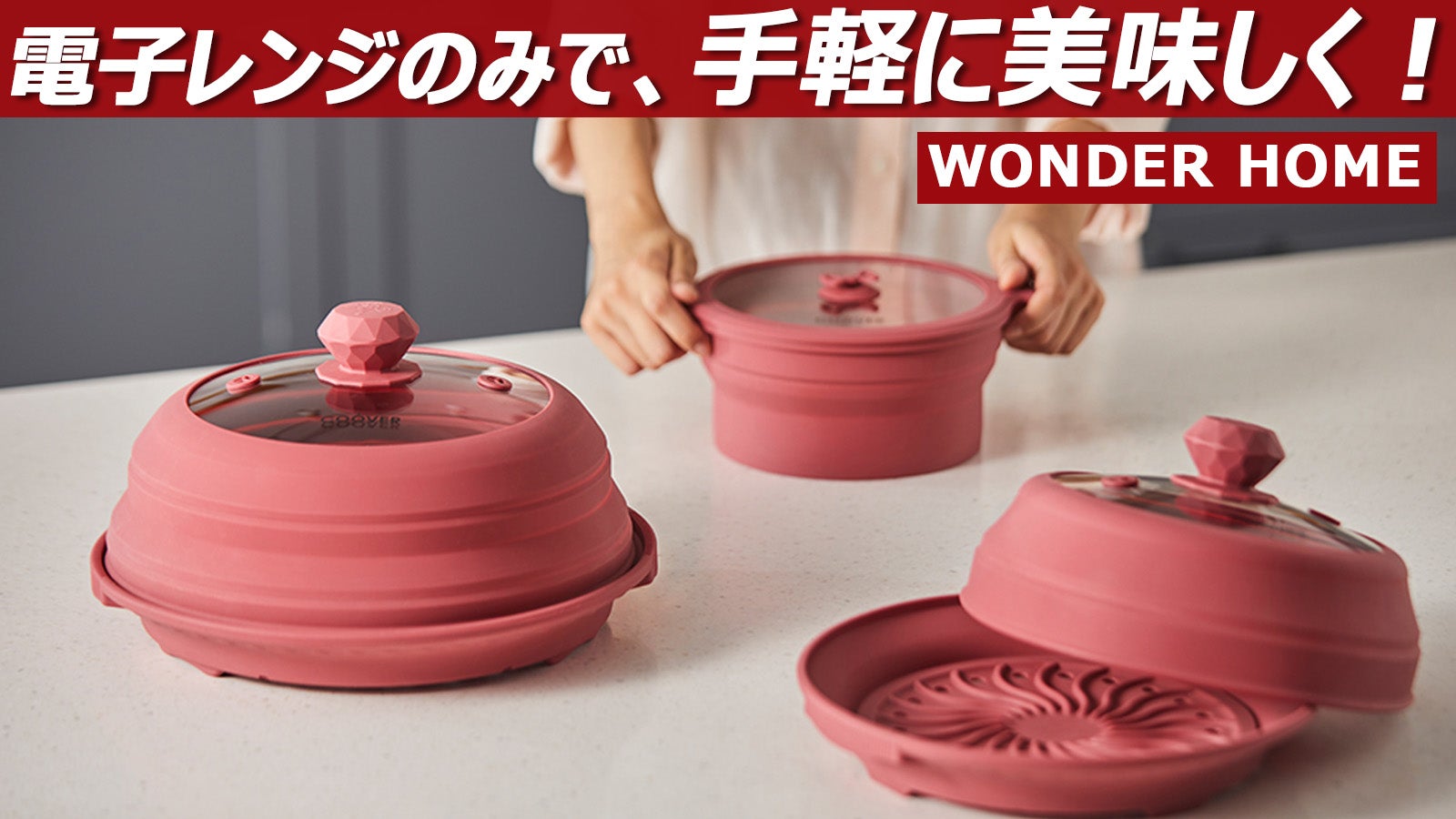 電子レンジを使うだけで料理がこうなるの？！WONDER HOMEレンジ