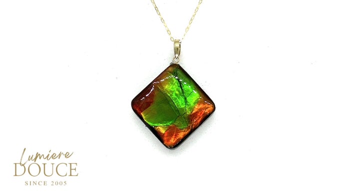 1億年前のシェルが輝き続ける希少ジュエリー。オーロラに輝くオンリー