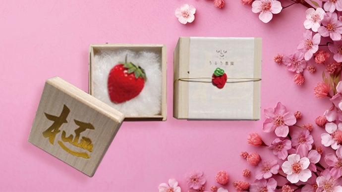 1粒7万円】【福岡で認証率2％以下の特別栽培】稀少な特大あまおう苺