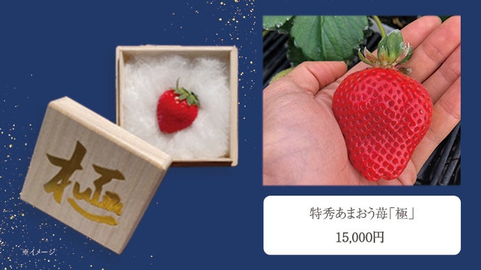 1粒7万円】【福岡で認証率2％以下の特別栽培】稀少な特大あまおう苺