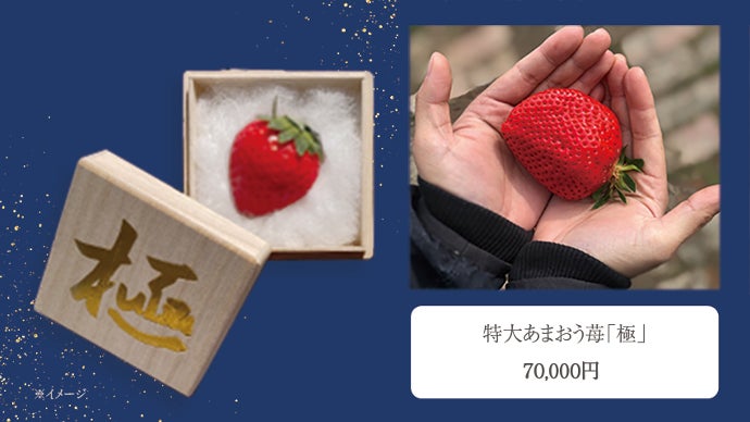 1粒7万円】【福岡で認証率2％以下の特別栽培】稀少な特大あまおう苺