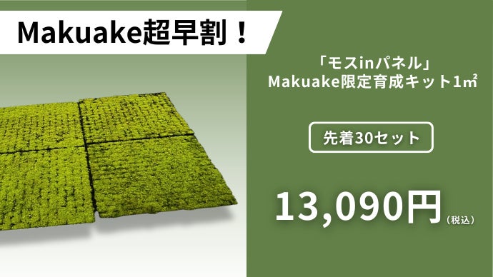 日陰でも育つ！置くだけ簡単！庭やベランダを「緑」にする“天然苔”育成