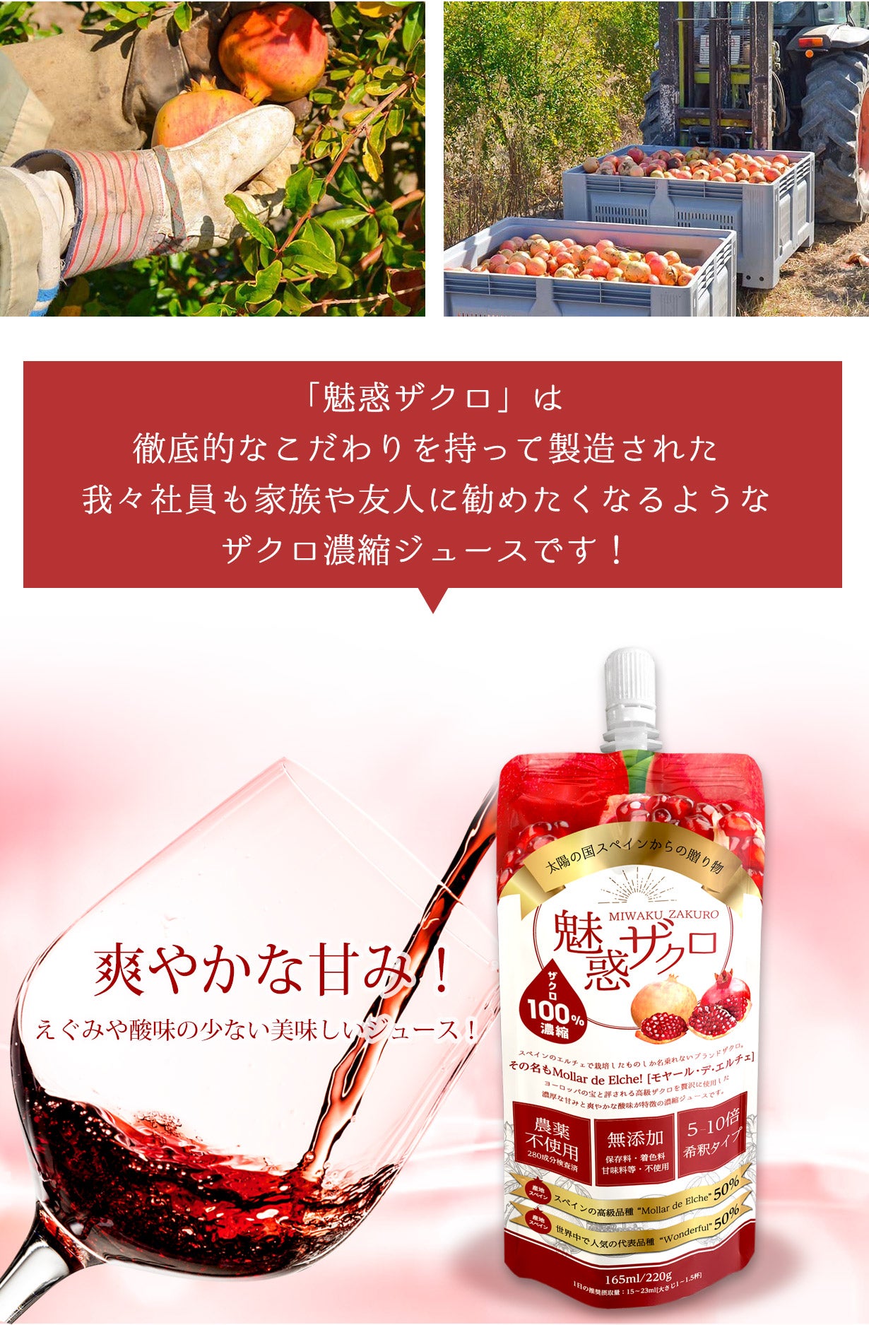 今大注目のスーパーフード！飲んで整える幸せ習慣。毎日の綺麗と健康に