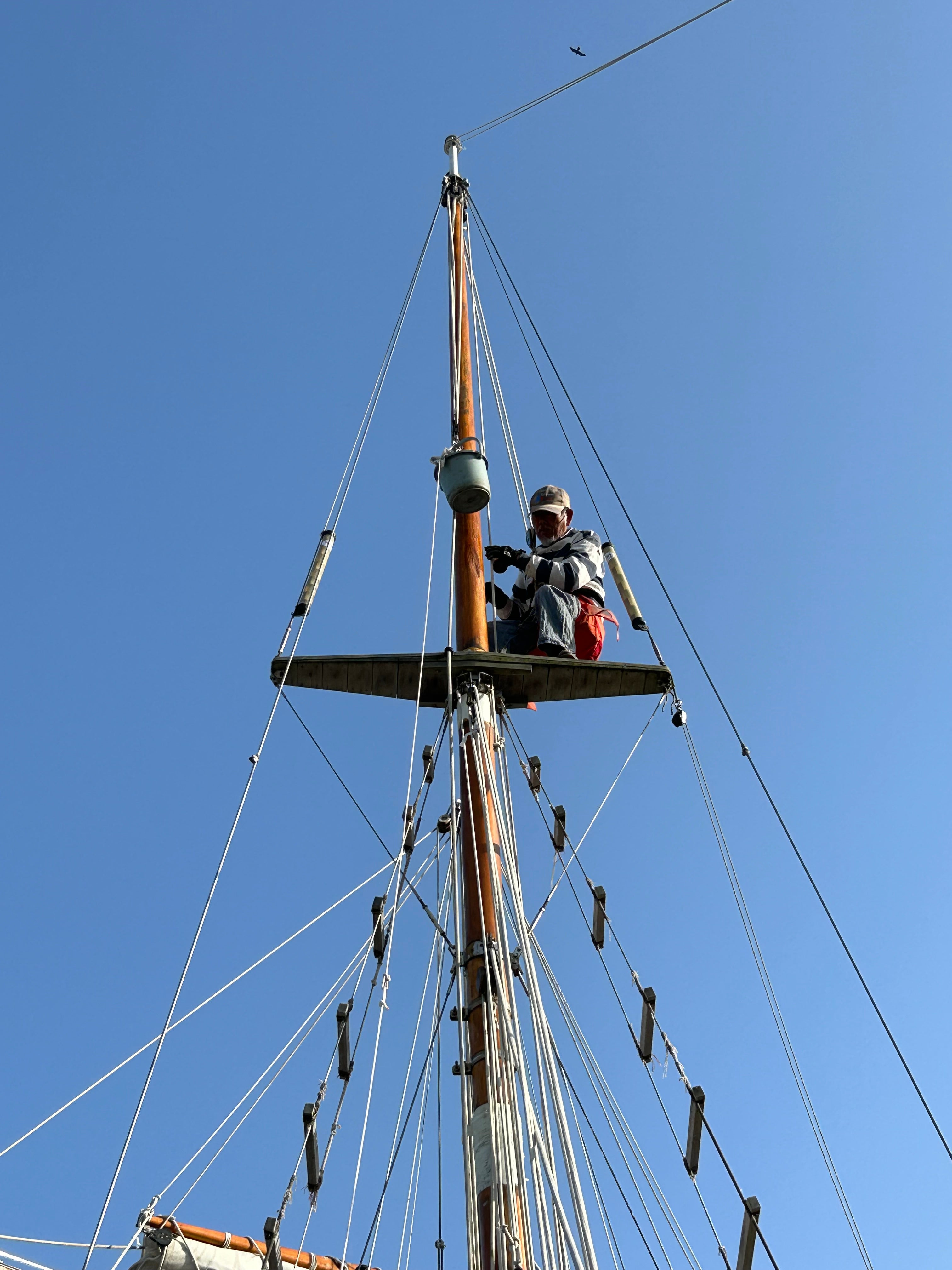 日本の海賊王に！】希少な木造帆船で行く、駿河湾クルーズ体験｜小学生