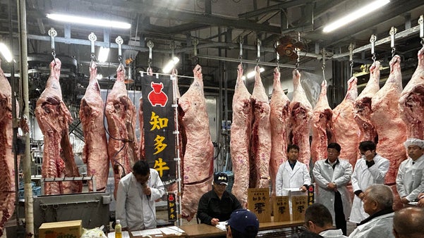 【makuake限定特選セット】2023年 最優秀賞受賞　今年一番の知多牛「響」