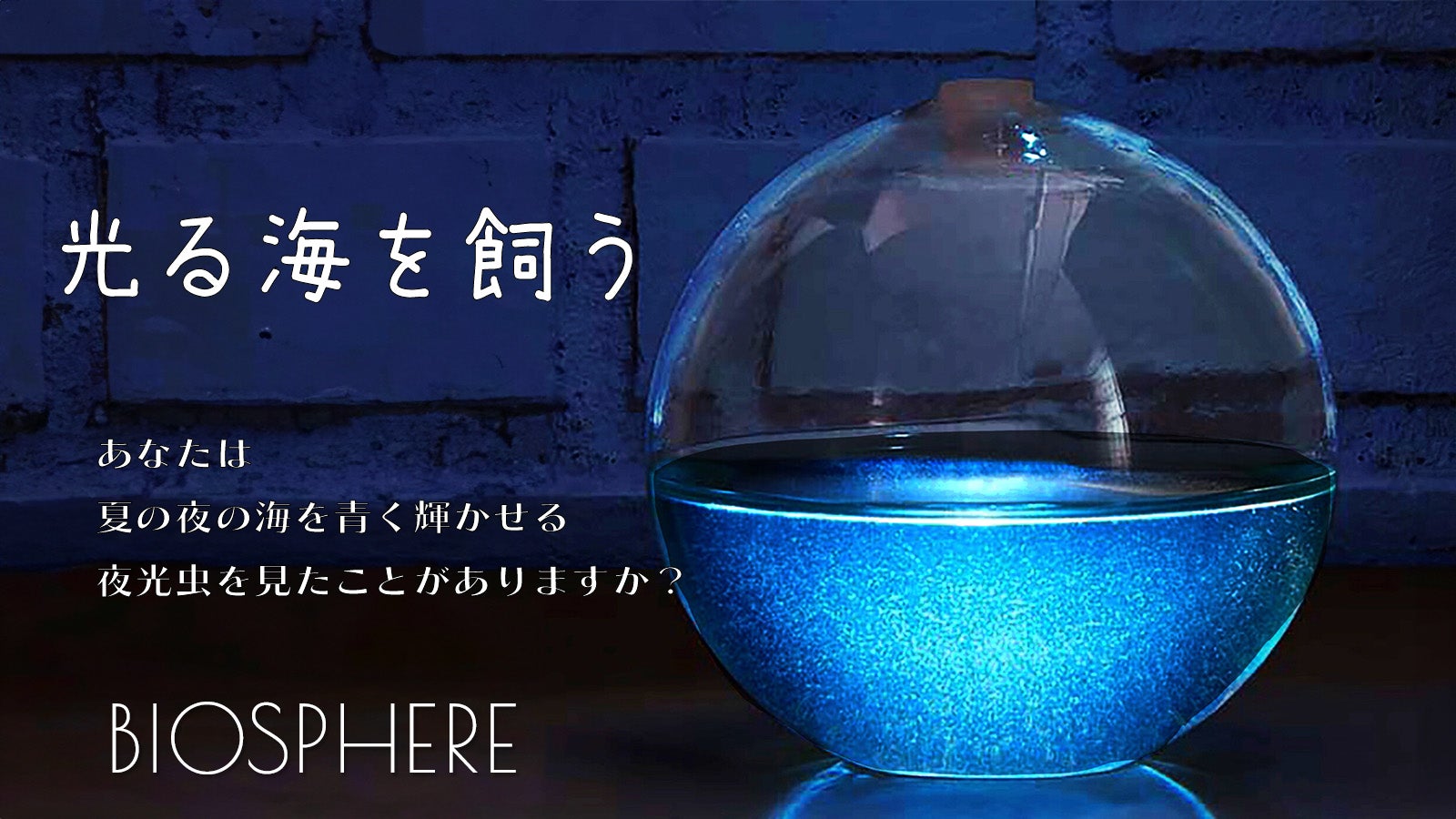 光る海をお部屋に。自然の神秘を体感。発光するアクアリウム