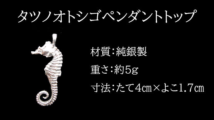 辰年に！ 純金・純プラチナ『龍小判』お守り・純銀『タツノオトシゴ