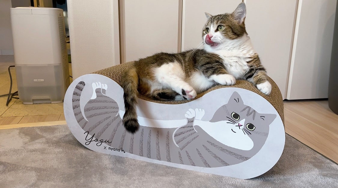 猫本能に応える、究極の爪とぎ」あなたの猫ちゃんのオリジナル爪