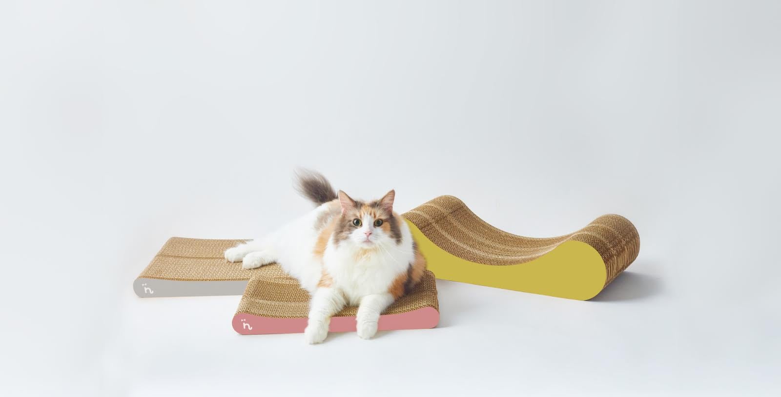 猫本能に応える、究極の爪とぎ」あなたの猫ちゃんのオリジナル爪