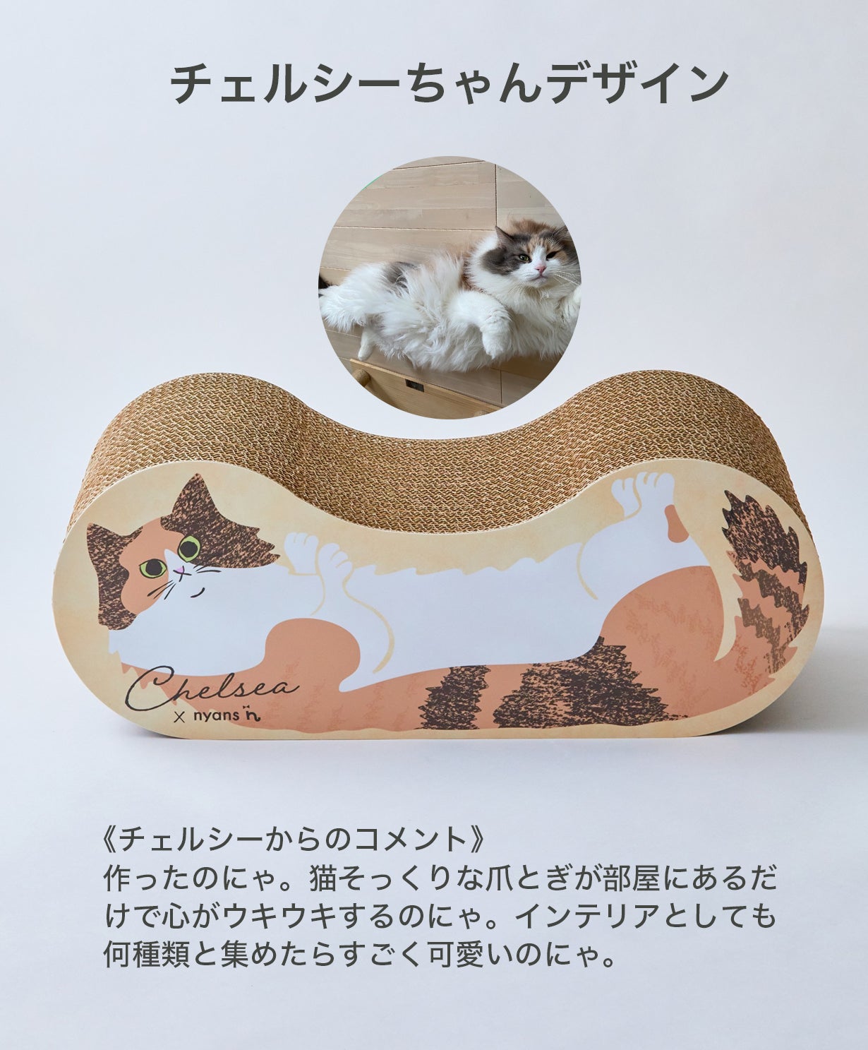 にゃん様専用 にゃん太(ΦωΦ)ニャ様専用 にゃん様専用ページ 【公式通販】