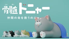 骨髄バンクをもっと知ってもらいたい！カプセルトイ「骨髄ドニャー」製作プロジェクト
