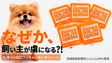 心に残る瞬間、ワンちゃんと共に【有機JAS認証】飼い主と一緒に飲める人参ジュース