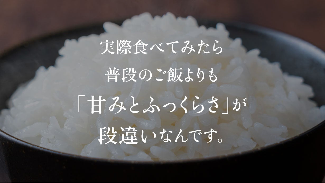 五ツ星お米マイスターも唸る味に｜少量でもふっくら美味しいご飯が