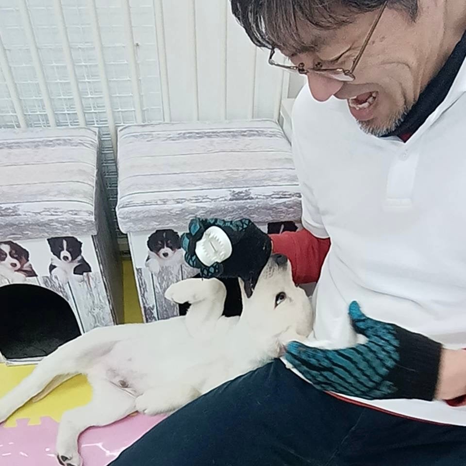 Makuake｜「噛ませる」ではなく「噛む」。愛犬と楽しく遊べるあまがみ