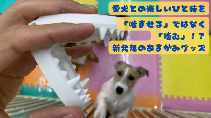 「噛ませる」ではなく「噛む」。愛犬と楽しく遊べるあまがみ対策グッズ｜あまがみくん