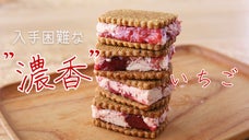 土に愛された秘密のいちごが解禁！ミモザショコラトリーの&rdquo;濃香&rdquo;苺スイーツ3種！