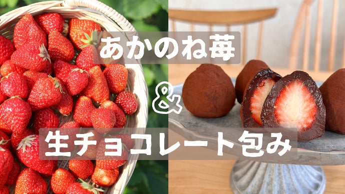 土に愛された秘密のいちごが解禁！ミモザショコラトリーの”濃香”苺