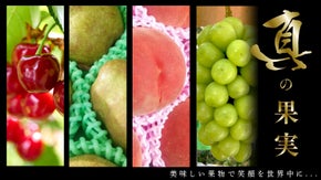 一切の妥協を許さず栽培した《真の果実》果物王国山形から旬の果実お届け！第5弾