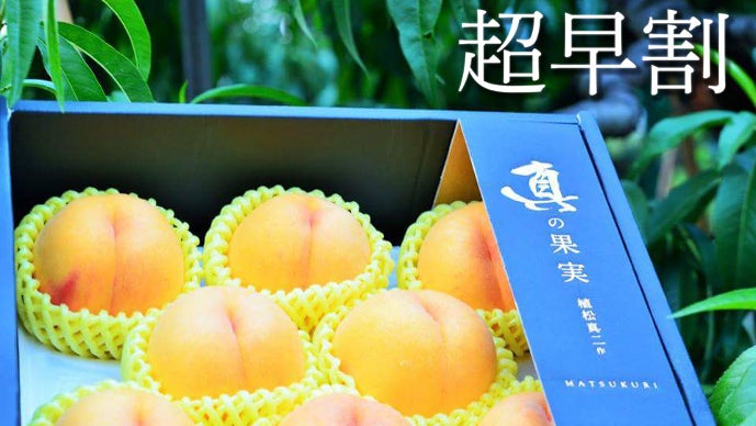 一切の妥協を許さず栽培した《真の果実》果物王国山形から旬の果実お