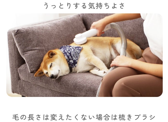 カット＆吸引！掃除もお任せ！ペットも嬉しい！mocolineペット