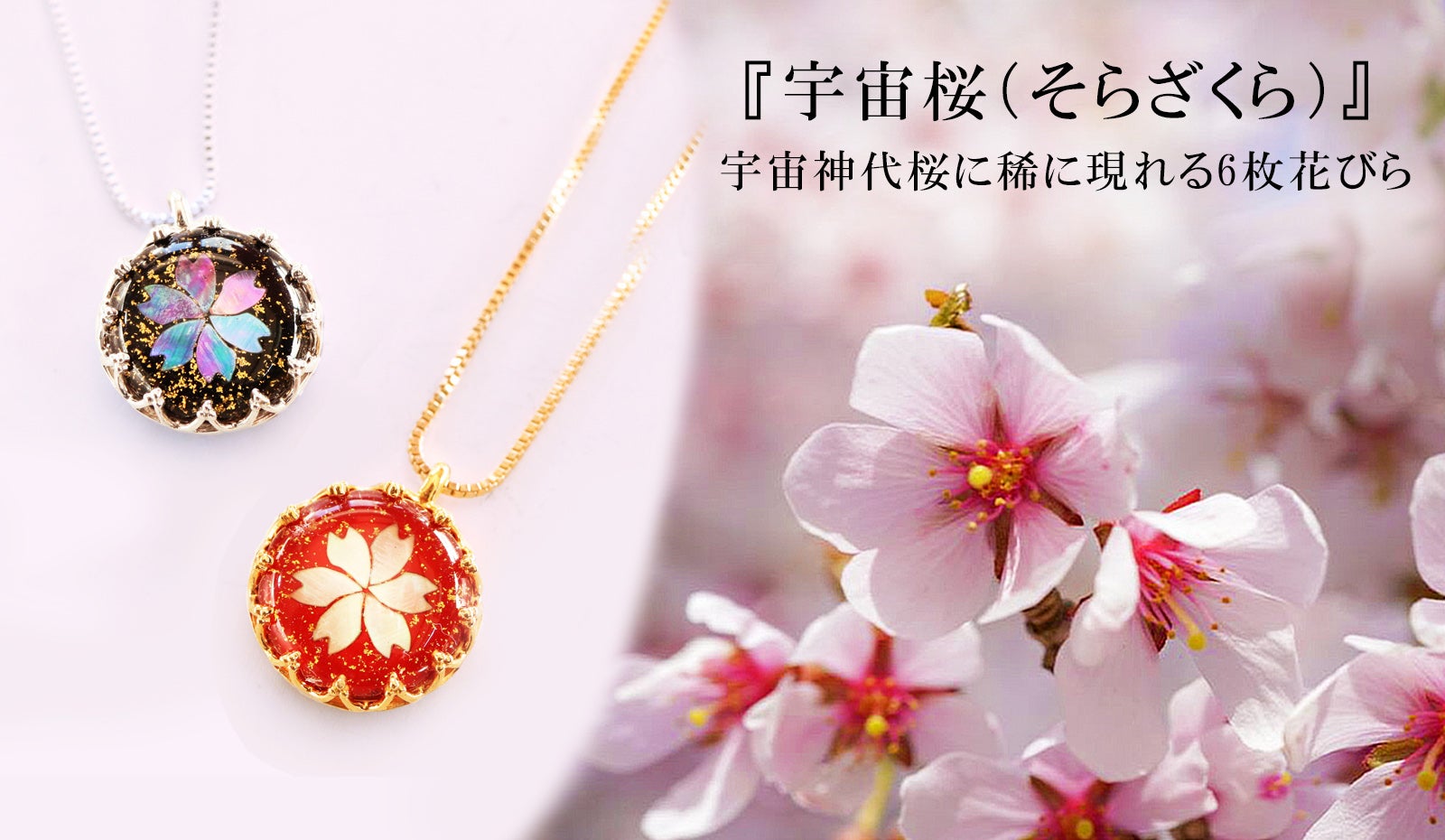 宇宙を旅した六枚の花弁を持つ桜。宝飾の街「甲府」×螺鈿工芸「高岡