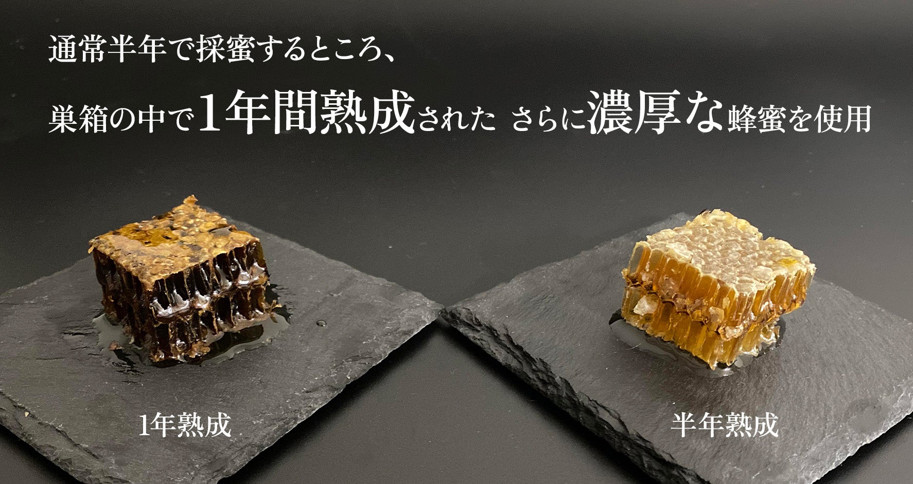 博多ハニーより「ふわっ」とはちみつ香る 贅沢なチョコスプレッド