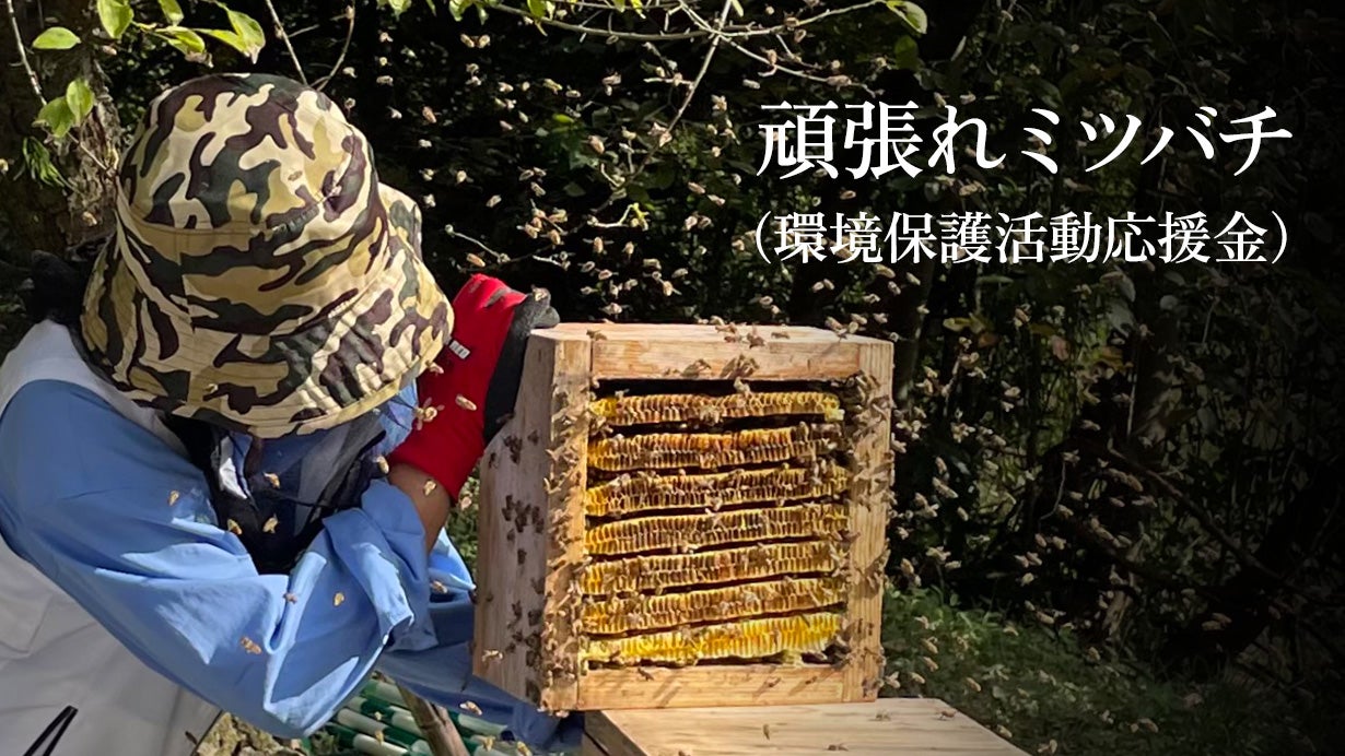 博多ハニーより「ふわっ」とはちみつ香る 贅沢なチョコスプレッド